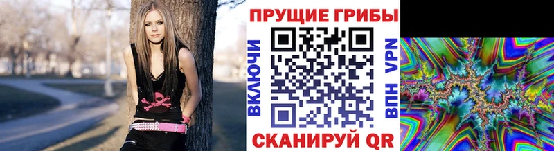 хочу   Краснодар  Псилоцибиновые грибы ЛСД 